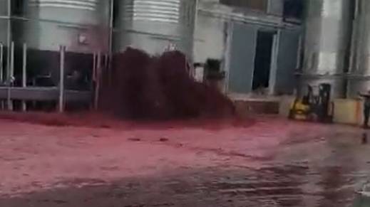 Iz rezervoara u Španiji iscurilo 50.000 litara vina (VIDEO)