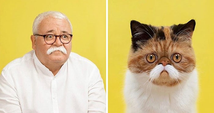 Fotograf je fotografisao mačke i ljude koji izgledaju kao da su dvojnici