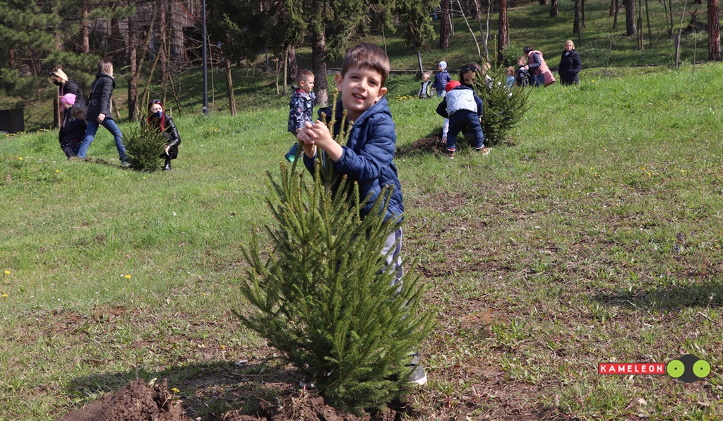 eko život