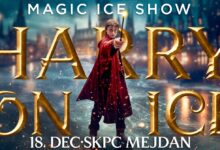 harry on ice