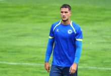 zinedin smajlovic