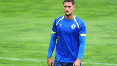 zinedin smajlovic